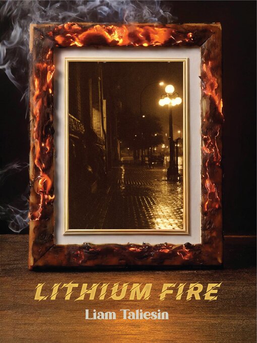 Title details for Lithium Fire by Liam Taliesin - Available
